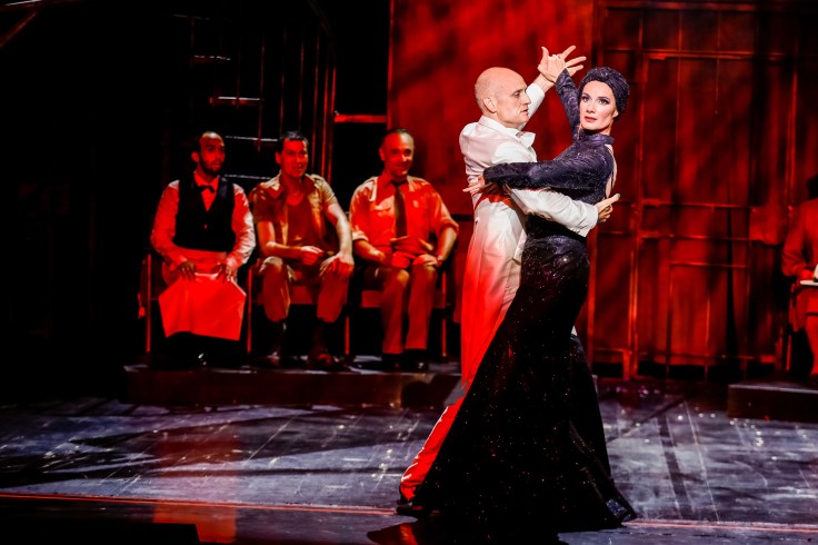 Kuss der Spinnenfrau.jpg